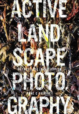 Active Landscape Photography(English, Paperback, Godfrey Anne)
