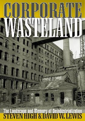 Corporate Wasteland(English, Paperback, High Steven)