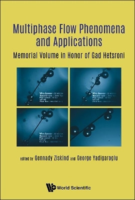 Multiphase Flow Phenomena And Applications: Memorial Volume In Honor Of Gad Hetsroni(English, Hardcover, unknown)