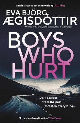 Boys Who Hurt: Volume 5(English, Paperback, AEgisdottir Eva Bjoerg)