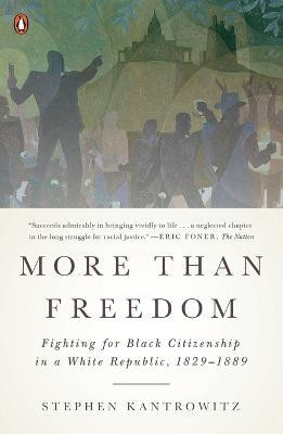 More Than Freedom(English, Paperback, Kantrowitz Stephen)