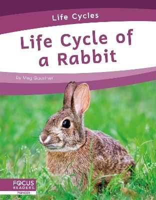 Life Cycle of a Rabbit(English, Paperback, Gaertner Meg)