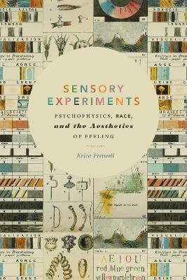 Sensory Experiments(English, Paperback, Fretwell Erica)