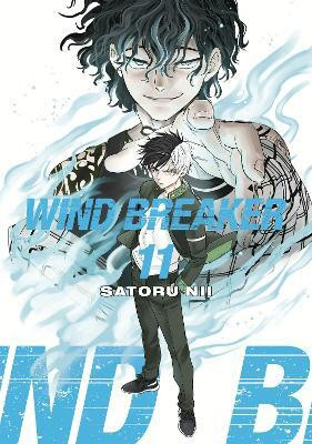 WIND BREAKER 11(English, Paperback, Nii Satoru)