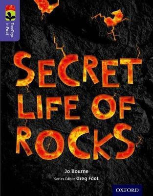 Oxford Reading Tree TreeTops inFact: Level 11: Secret Life of Rocks(English, Paperback, Bourne Jo)
