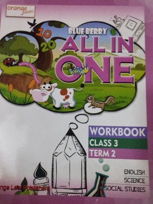 Blue berry all in one workbook class 3 term 2(Paperback, Xyz)