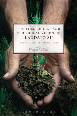 The Theological and Ecological Vision of Laudato Si'(English, Paperback, unknown)