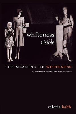 Whiteness Visible(English, Paperback, Babb Valerie M.)