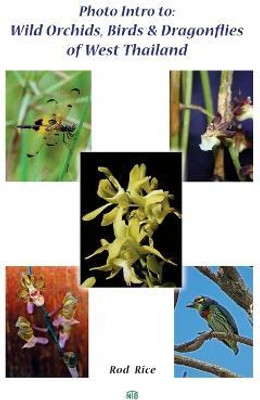 Photo Intro to(English, Paperback, Rice Rod)