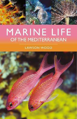 Marine Life of the Mediterranean(English, Paperback, Wood Lawson)