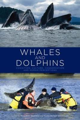 Whales and Dolphins(English, Paperback, unknown)