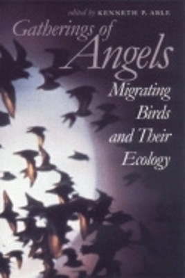 Gatherings of Angels(English, Paperback, unknown)