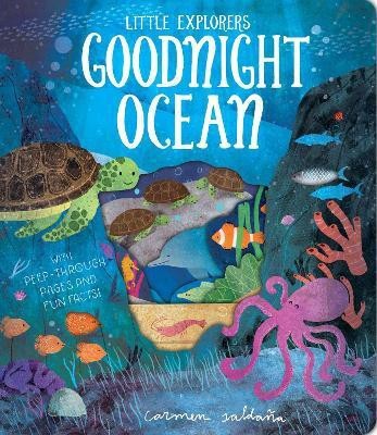 Goodnight Ocean(English, Board book, Davies Becky)