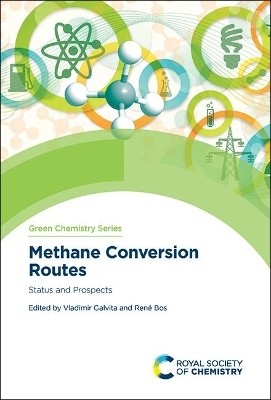 Methane Conversion Routes(English, Hardcover, unknown)