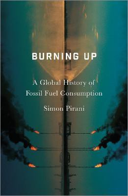 Burning Up(English, Paperback, Pirani Simon)