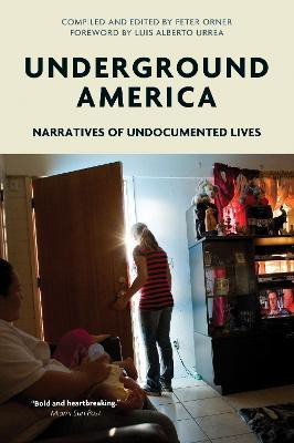Underground America(English, Paperback, Witness Voice of)