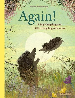 Again!(English, Hardcover, Teckentrup Britta)