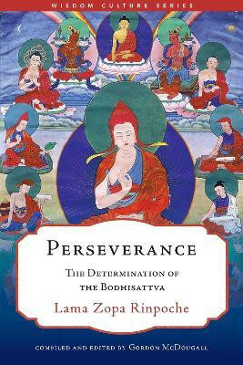 Perseverance(English, Paperback, Zopa Gordon)