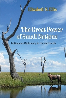 The Great Power of Small Nations(English, Electronic book text, Ellis Elizabeth N.)