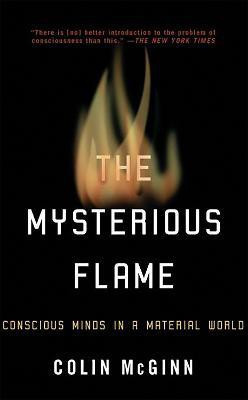 The Mysterious Flame(English, Paperback, McGinn Colin)