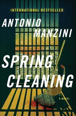 Spring Cleaning(English, Paperback, Manzini Antonio)
