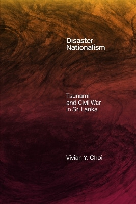 Disaster Nationalism(English, Paperback, Choi Vivian Y.)