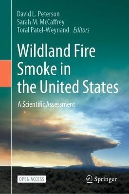 Wildland Fire Smoke in the United States(English, Hardcover, unknown)