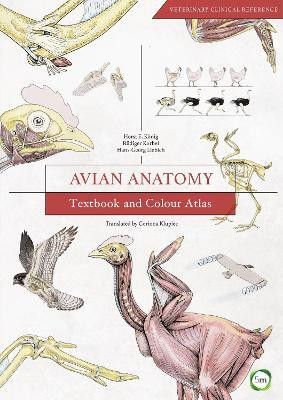 Avian Anatomy 2nd Edition(English, Electronic book text, Konig Horst Erich)