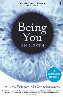 Being You(English, Paperback, Seth Anil Professor)