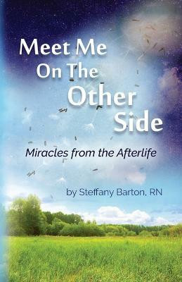 Meet Me On the Other Side(English, Paperback, Barton Steffany RN)