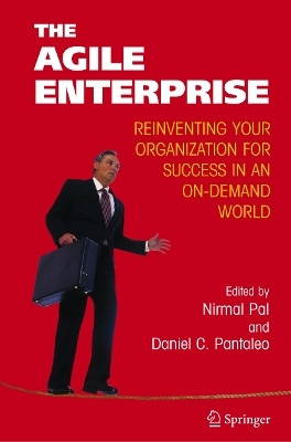 The Agile Enterprise(English, Paperback, unknown)