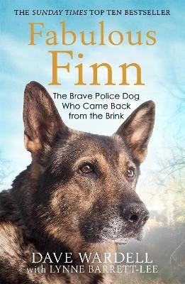 Fabulous Finn(English, Paperback, Wardell Dave)