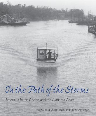 In the Path of the Storms(English, Paperback, unknown)