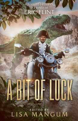 A Bit of Luck(English, Paperback, Ashley Julia V)