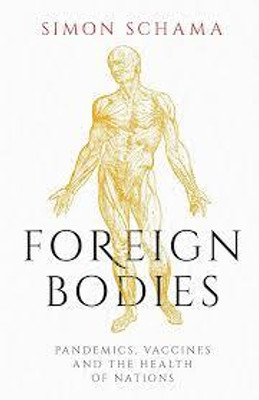 Foreign Bodies(Paperback, Cynthia Ozick)