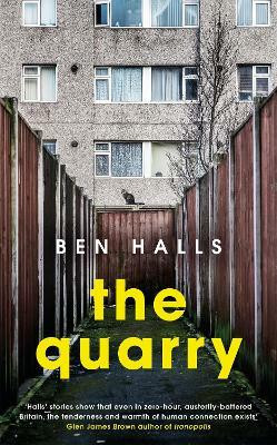 The Quarry(English, Paperback, Halls Ben)