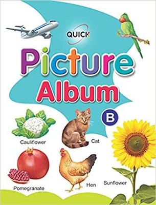 Ubi-Quick Picture Album B(Paperback, QUICK BOOKS INTERNATIONAL)