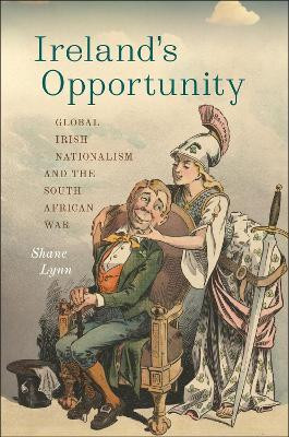 Ireland's Opportunity(English, Hardcover, Lynn Shane)