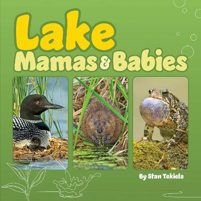 Lake Mamas and Babies(English, Board book, Tekiela Stan)