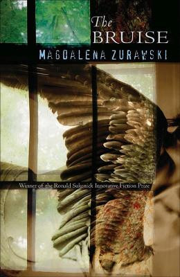 The Bruise(English, Paperback, Zurawski Magdalena)