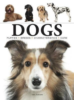 Dogs(English, Paperback, Jackson Tom)