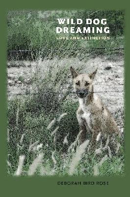 Wild Dog Dreaming(English, Hardcover, Rose Deborah Bird)