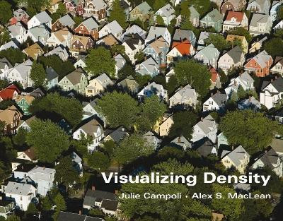 Visualizing Density(English, Paperback, Campoli Julie)