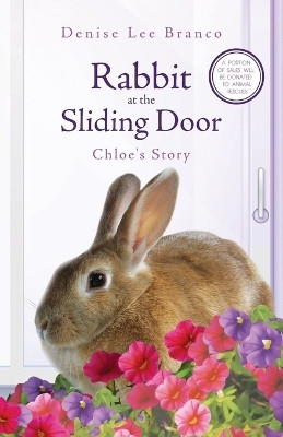 Rabbit at the Sliding Door(English, Paperback, Branco Denise Lee)