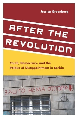 After the Revolution(English, Electronic book text, Greenberg Jessica)