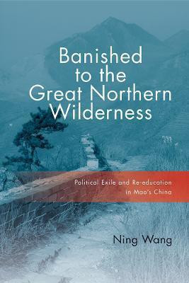 Banished to the Great Northern Wilderness(English, Hardcover, Wang Ning)