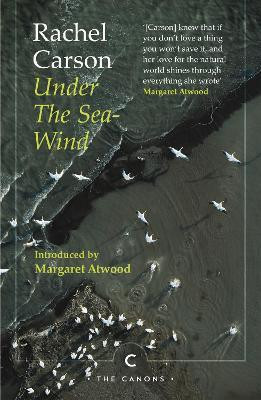 Under the Sea-Wind(English, Paperback, Carson Rachel)