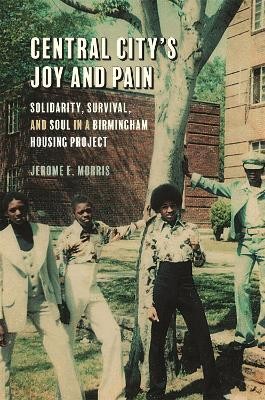 Central City's Joy and Pain(English, Paperback, Morris Jerome E.)