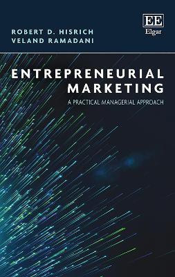 Advanced Introduction to Entrepreneurship(English, Paperback, Hisrich Robert D.)
