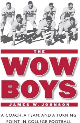 The Wow Boys(English, Paperback, Johnson James W.)